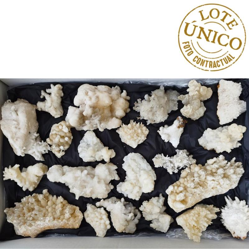 Aragonite. Set 22 Un.