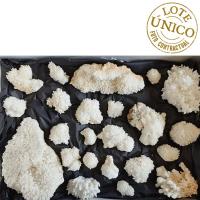 Aragonite. Set 23 Un.