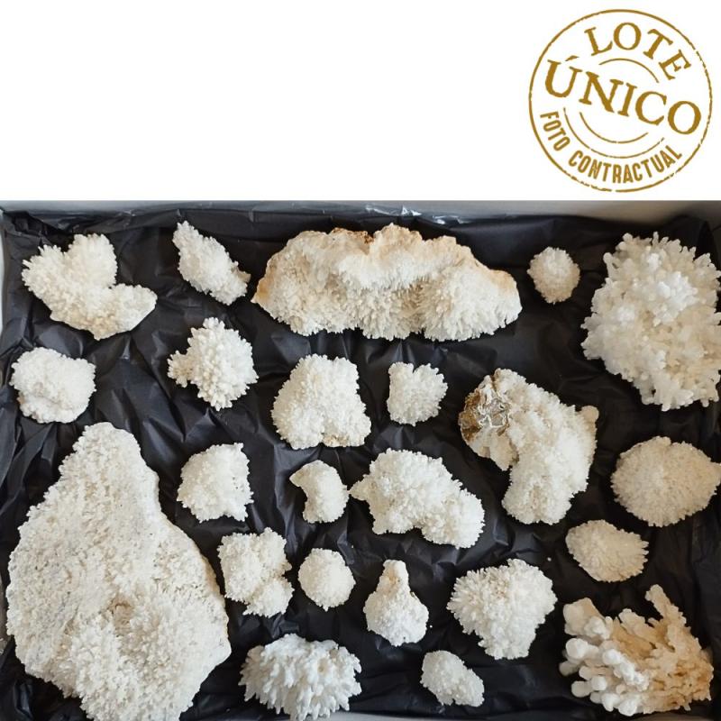 Aragonite. Set 23 Un.