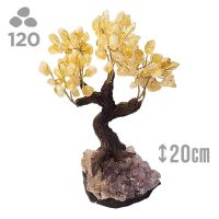 Árbol Citrino (120 piedras) y base drusa Amatista.