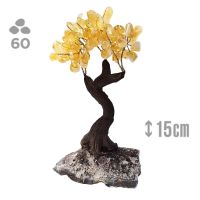 Árbol Citrino (60 piedras) y base drusa Amatista.