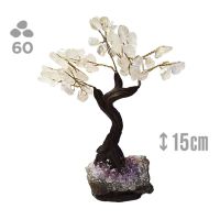Árbol Cristal Roca (60 piedras) y base drusa Amatista.