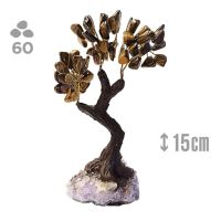 Árbol Ojo de Tigre (60 piedras) y base drusa Amatista.