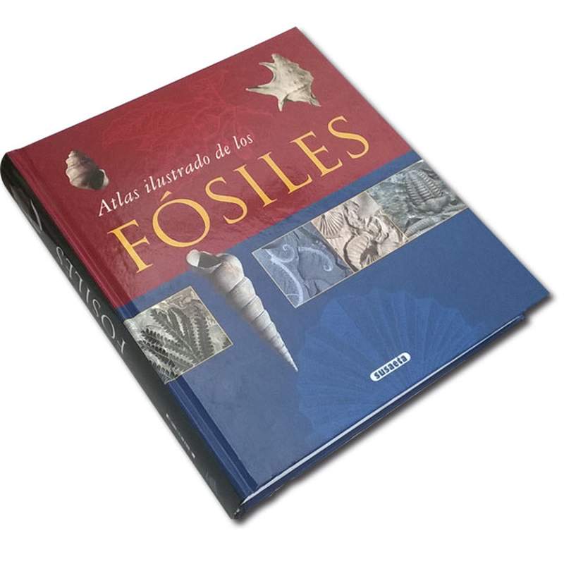 Libro Atlas de los fósiles