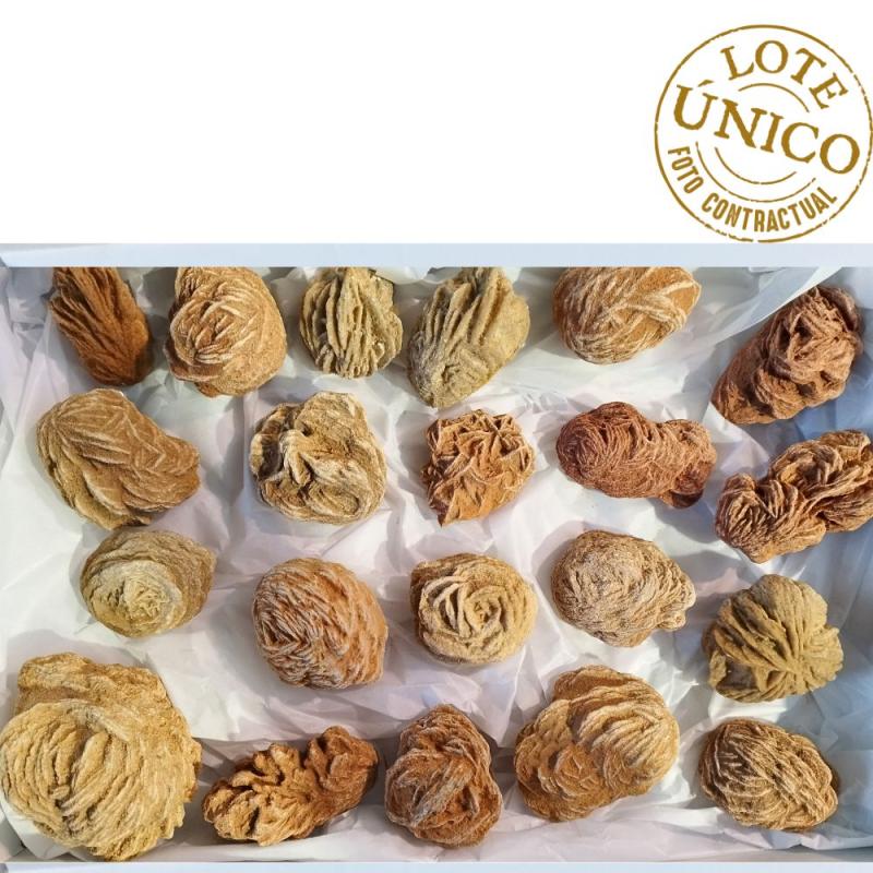 Rosa de Baritina (Argelia). Lote 21 Un.