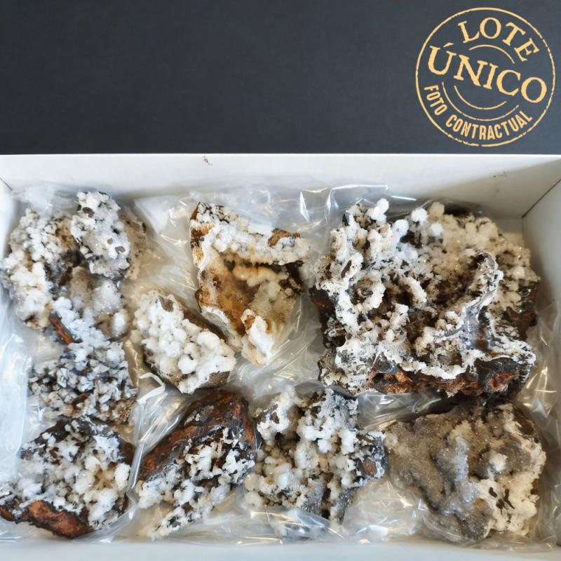 Barita con Oligisto (Murcia, España). Lote 4,9kg