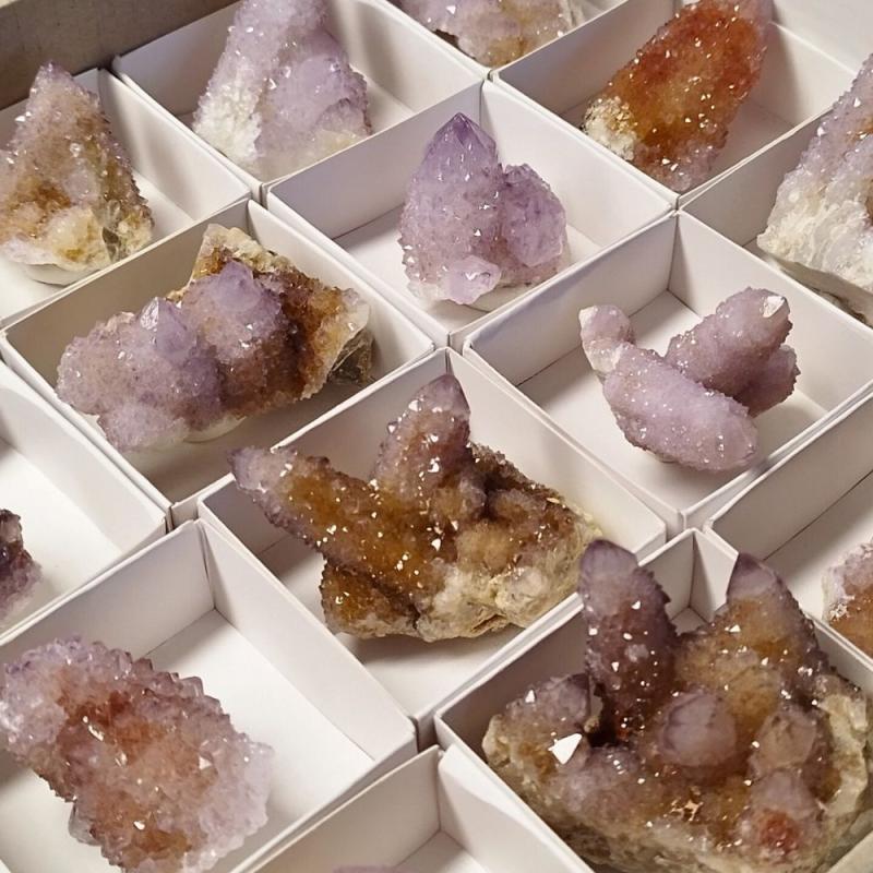 Amethyst Cactus Quartz (Unit Price)