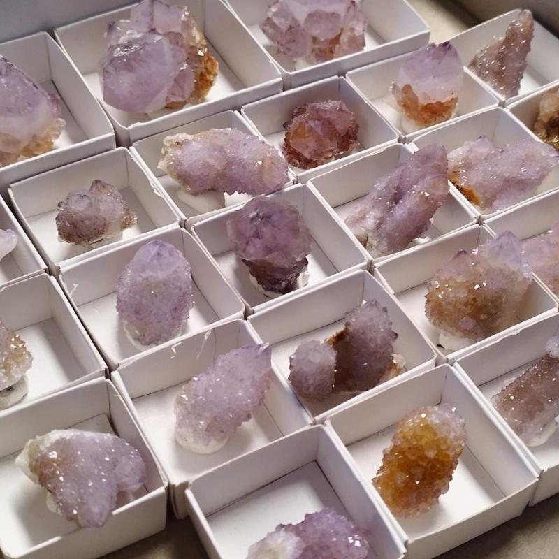 Amethyst Cactus Quartz (Unit Price)