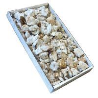 Geoda de Cuarzo. Lote 1,5kg