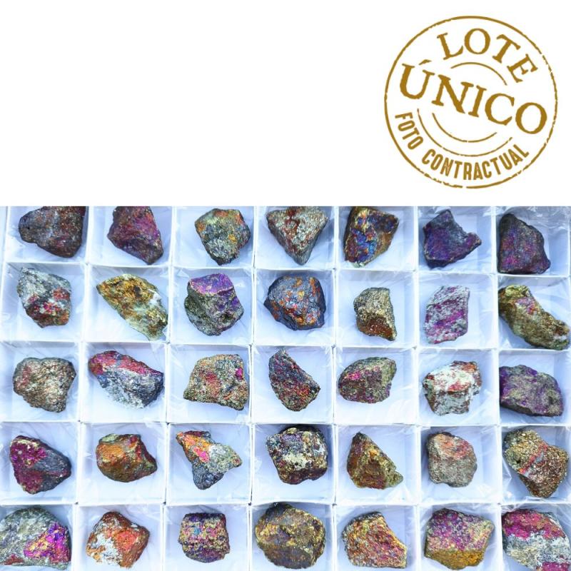 Calcopirita Irisada (México). Lote 35 Un.