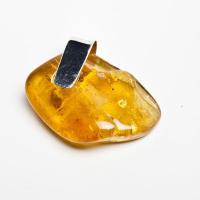 Colgante ámbar Báltico