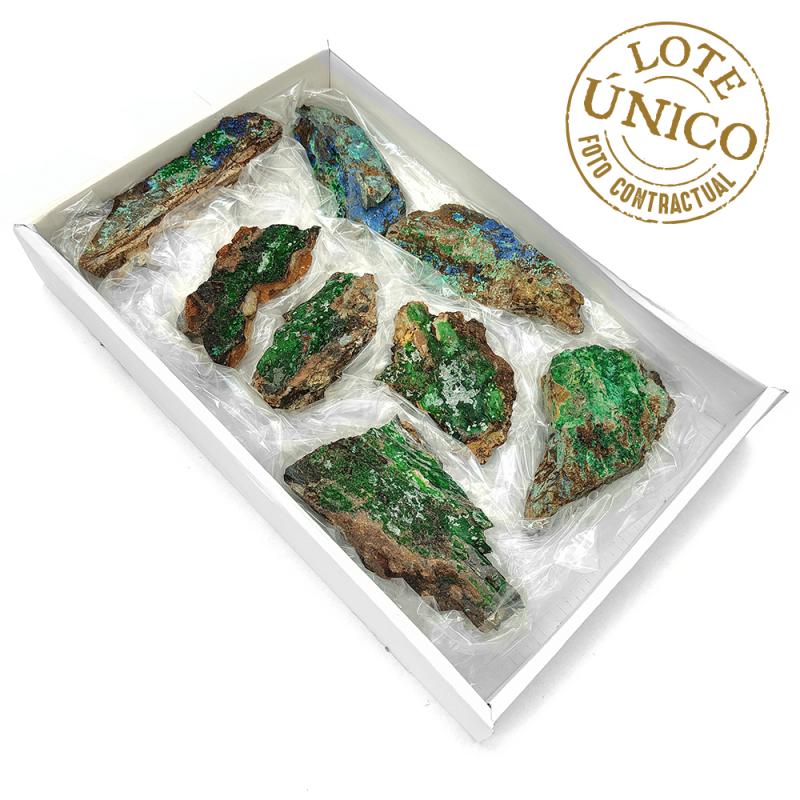 Conicalcita (Almería, España). Lote 8 Un.