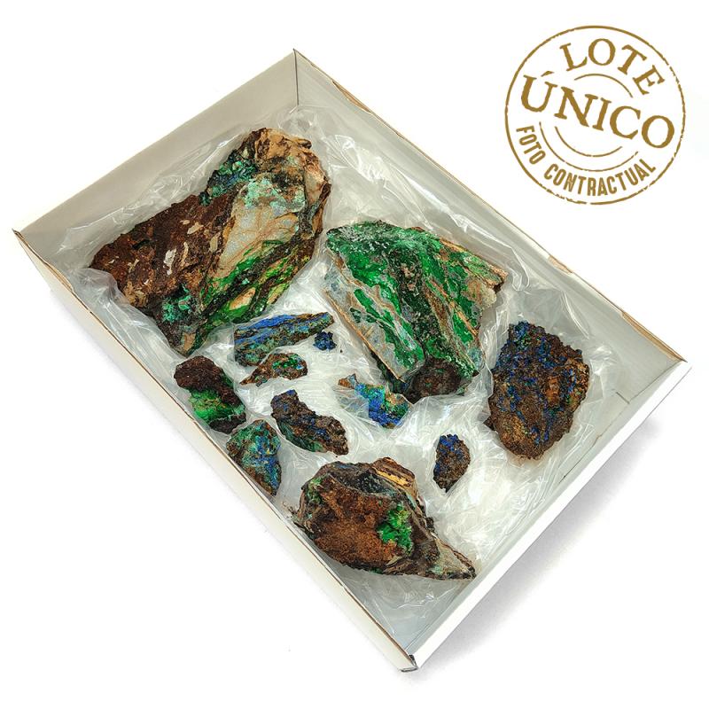 Conicalcita (Almería, España). Lote 12 Un.