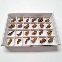 Coprolito. Lote 24 Un.