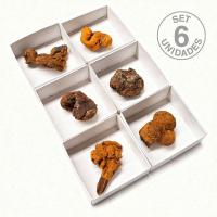 Coprolito. Set 6 Un.