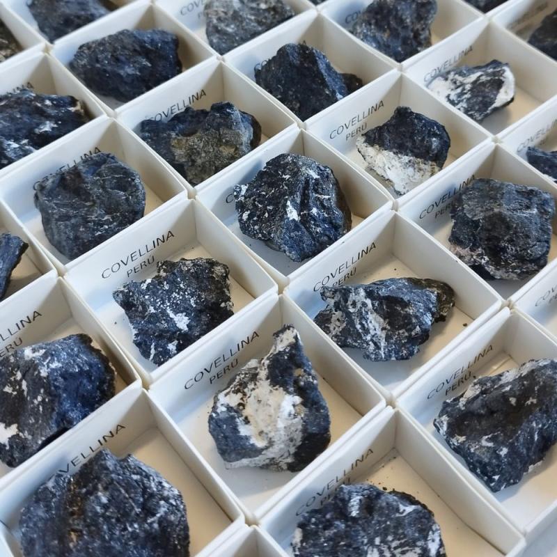 Covellina (Perú). Set 54 Un.