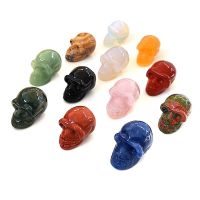 Craneos Mineral - Set 12 Unidades