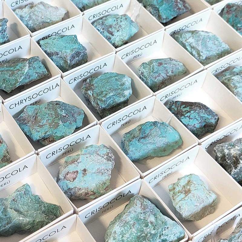 Chrysocolle. Prix 54 unités