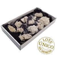 Crystal Quartz Druse (Peru). Set 11 Un.