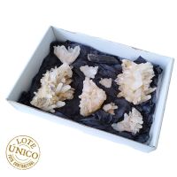 Lote Cuarzo Cristal de Roca Lechoso (Colombia)