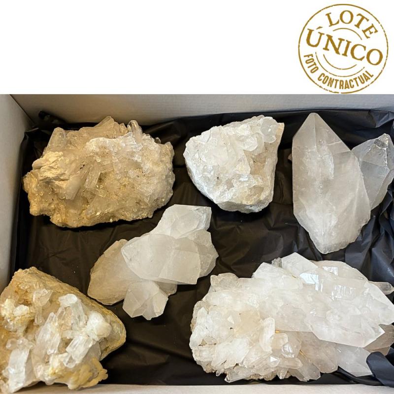 Drusas Cristal de Roca (Brasil). Lote 6 Un.