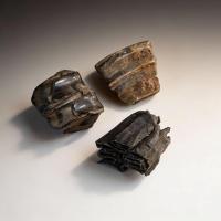 Equus (Dientes de Caballo) 2 - 3,5cm