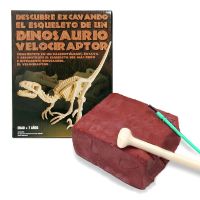 Excavadinos Velociraptor "Paleontologia"