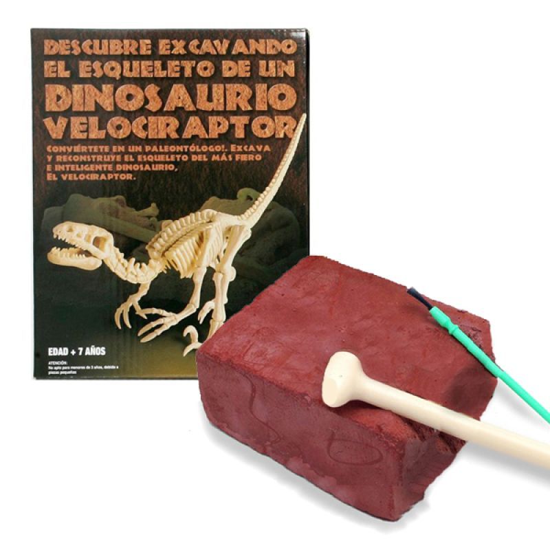 Excavadinos Velociraptor "Paleontologia"