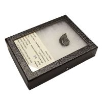 Estuche Meteorito de colección (Arizona, USA)
