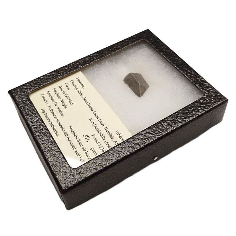 Estuche Meteorito de colección (Gibeon)
