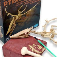 Pteranodon Fouilles "Paléontologie"
