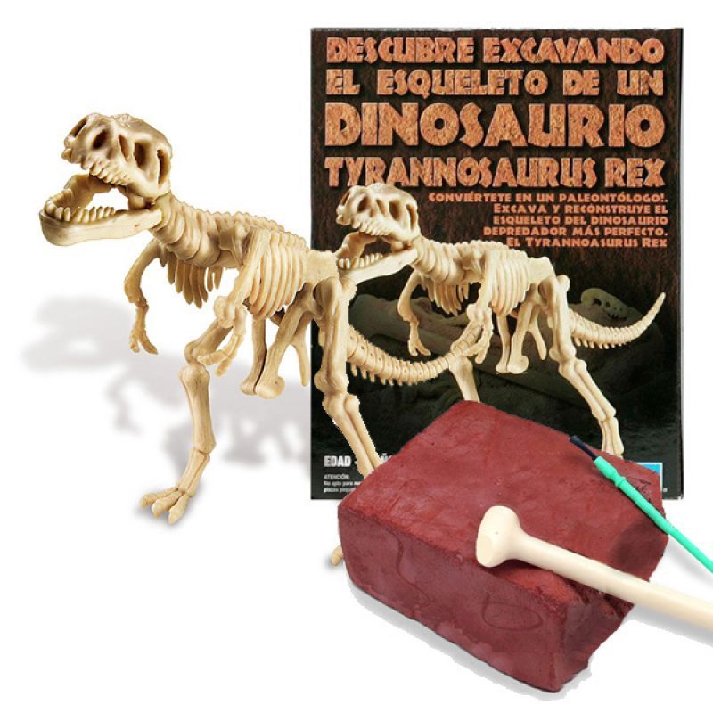 Excavadinos Tyranosurus Rex "Paleontologia"