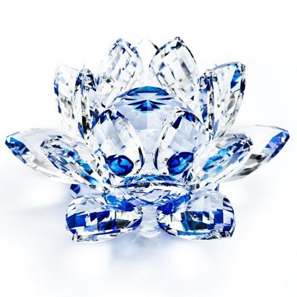 Flor de Loto Azul