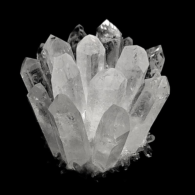Flor Punta Cristal de Roca (Blanca). Precio/Unidad