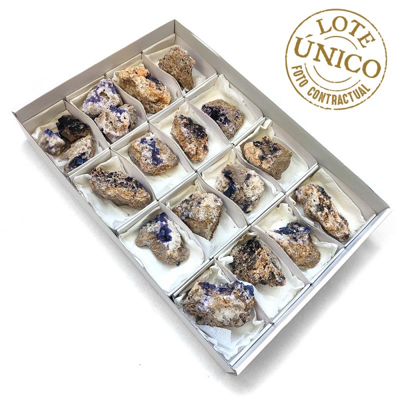 Fluorita (Murcia, España). Lote 16 Un.