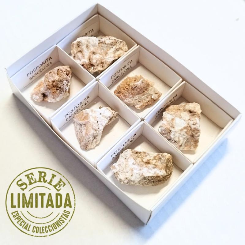 Fosforita (Barcelona, España). Set 6 Unidades