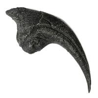 Garra Delantera Allosaurus (Réplica)
