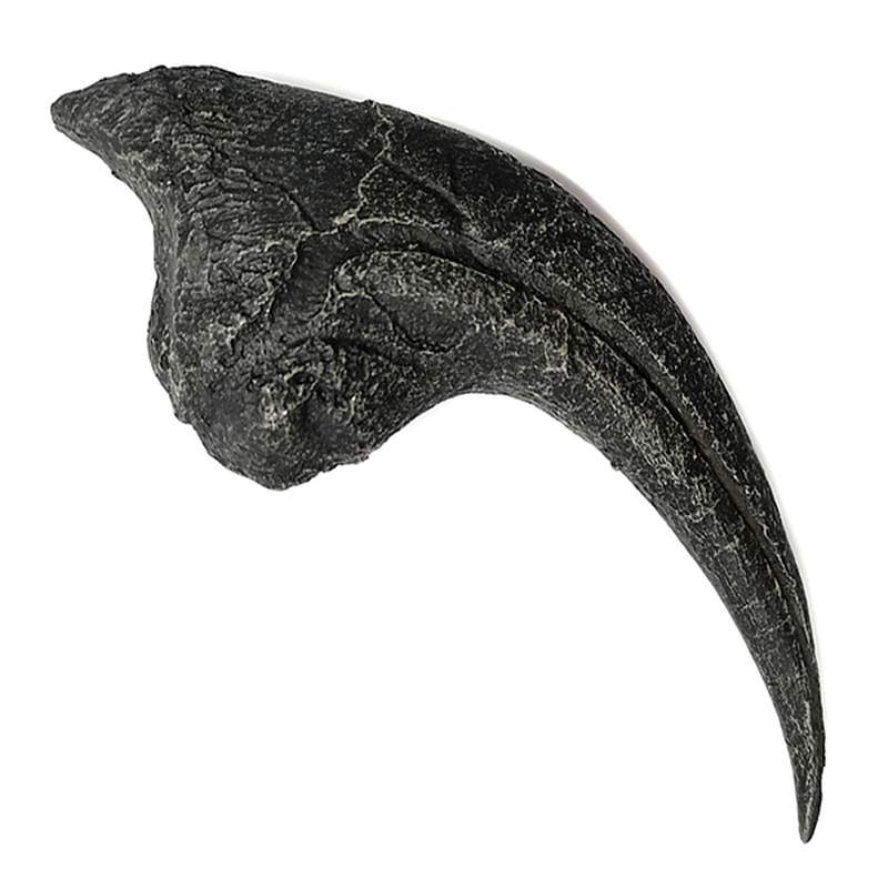 Allosaurus Hand Claw (Replica)