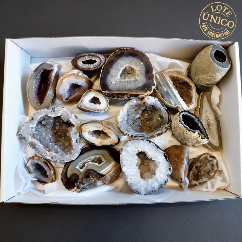 Geoda Ágata. Lote 17 Un.