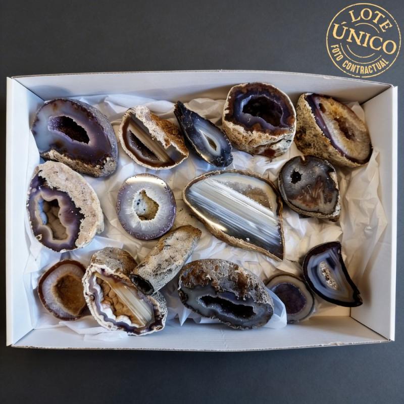 Geoda Ágata. Lote 15 Un.