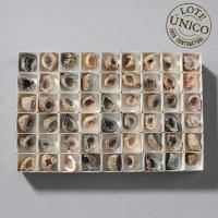 Geodiños de Cuarzo. Set 54 Un.