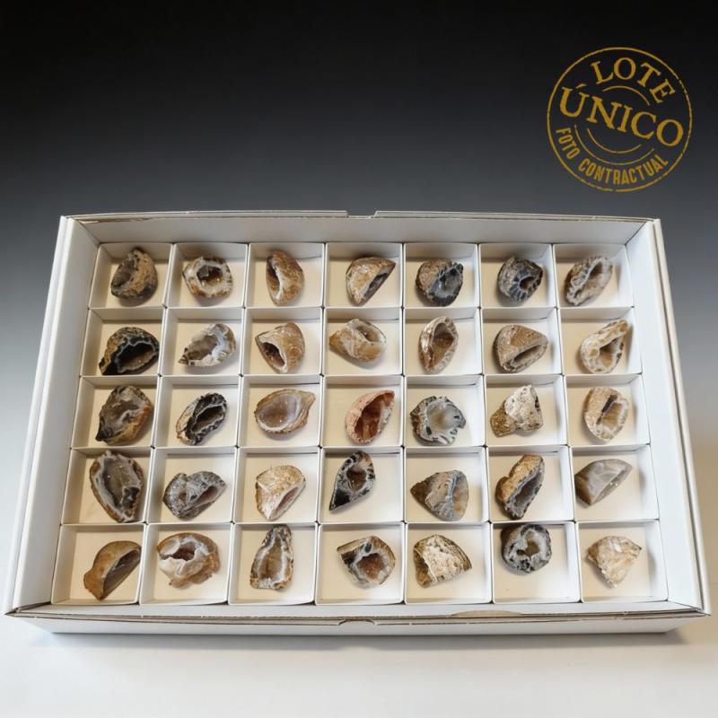 Geodiños de Cuarzo. Set 35 Un.