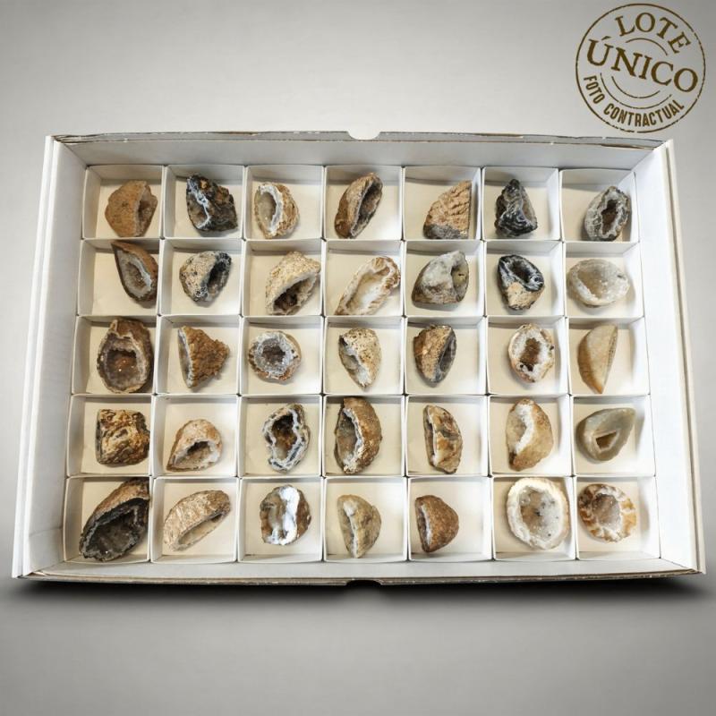 Geodiños de Cuarzo. Set 35 Un.