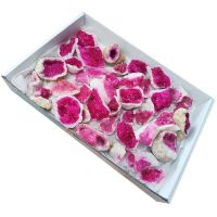 Drusas de Cuarzo (teñidas en color rosa)