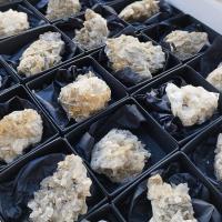 Glauberita. Lote 24 Un.