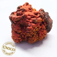 Goethite Irisée (12x10cm)