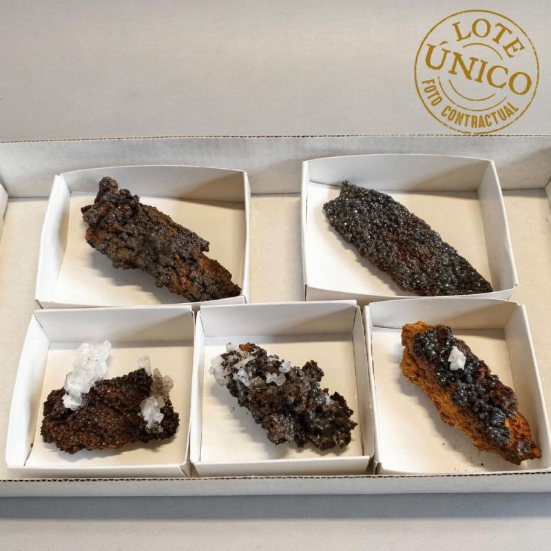 Descloizita (España). Lote 5 Un.