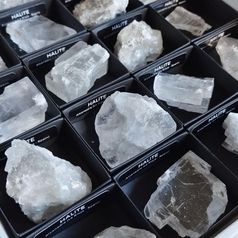 Halita (La Rioja, España). Lote 24 Un.