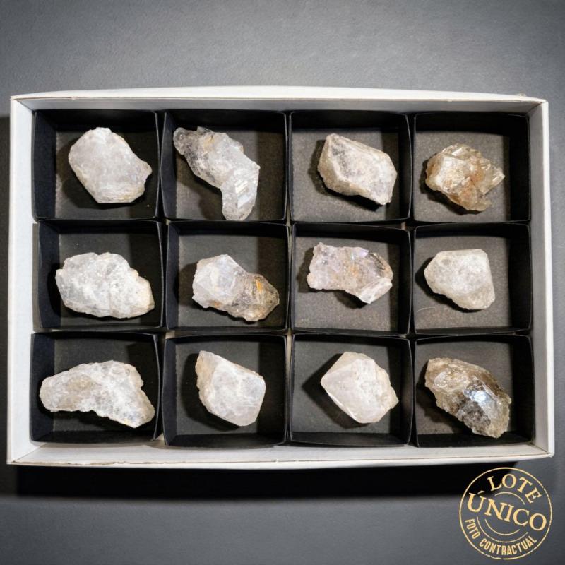 Herkimer Quartz. Set 12 Un.