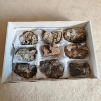 Hyalita (México). Lote 9 Un.